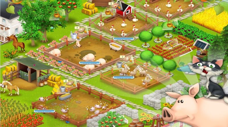 Hay Day